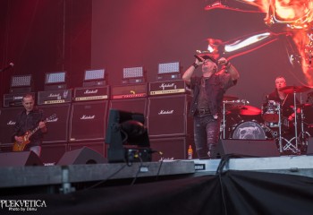 Krokus - Photo by Dänu