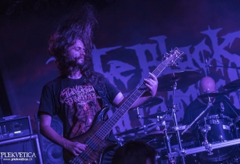 Ingested - Photo By Dänu