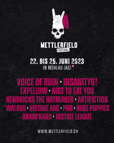 Poster von der Veranstaltung Hendricks the Hatmaker @ Mettlerfield Festival @ Mettlerfield Festival