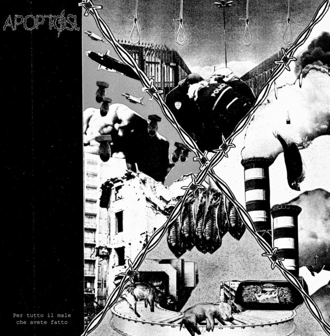 Apoptosi.