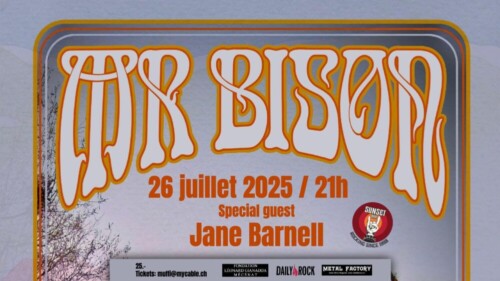 Poster von der Veranstaltung Mr. Bison @ Sunset Bar, Martigny
