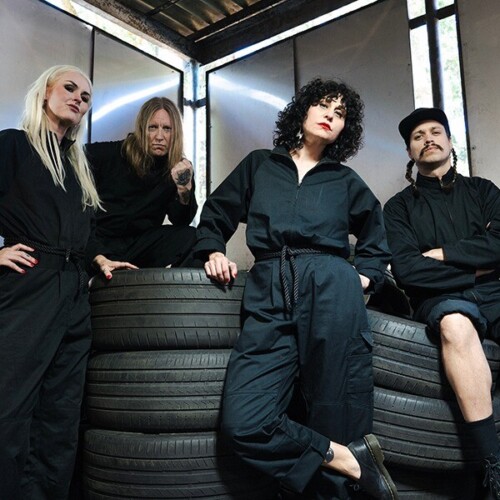 Poster von der Veranstaltung The Baboon Show @ Kammgarn, Schaffhausen